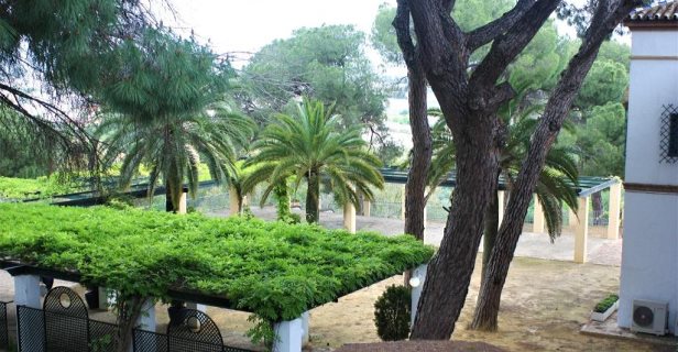 Hotel Oromana