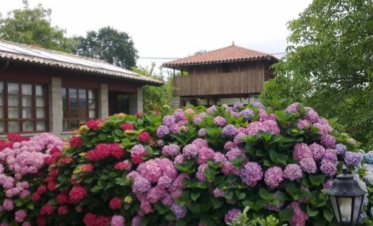 Hotel Ovio