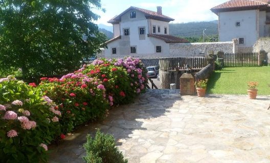 Hotel Ovio