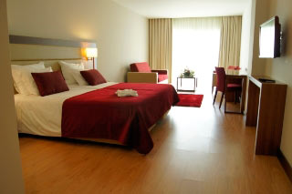 Hotel Palace & Spa Douro