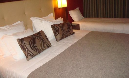 Hotel Palace & Spa Termas De Santiago