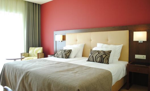 Hotel Palace & Spa Termas De Santiago