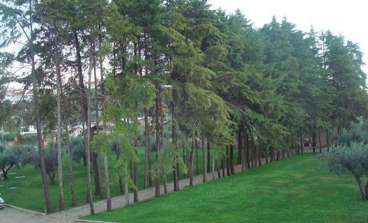 Hotel Palace & Spa Termas De Santiago
