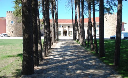 Hotel Palace & Spa Termas De Santiago