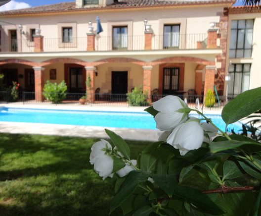 Hotel Palacio De Monfarracinos