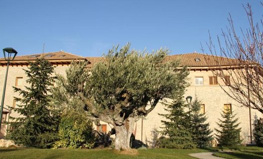 Hotel Palacio Dos Olivos