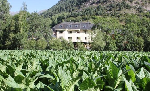 Hotel Palarine