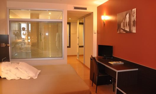 Hotel Palau De Girona