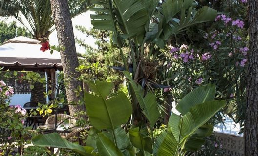 Hotel Palau Verd Adults Only