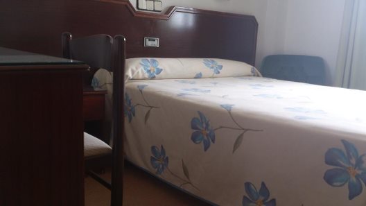 Hotel Palmero