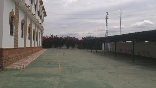 Hotel Palmero
