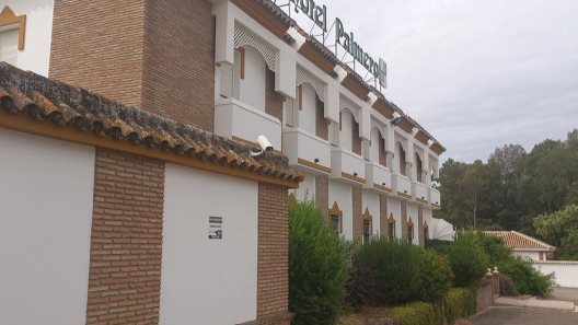 Hotel Palmero