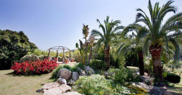 Hotel Palmira Paradise Suites