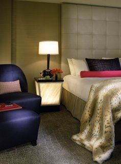 Hotel Palomar Washington Dc