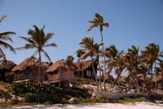 Hotel Papaya Playa