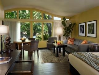 Hotel Paradise Point Resort & Spa