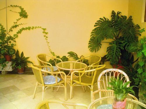 Hotel Paris
