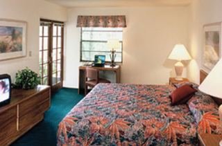 Hotel Park Shore Resort