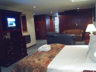 Hotel Pedregal Palace