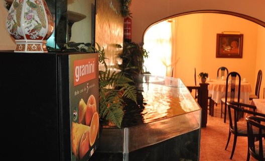 Hotel Pelayo Isla