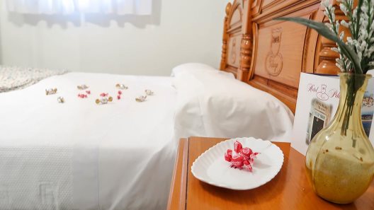 Hotel Pelayo Noja