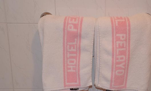Hotel Pelayo Noja
