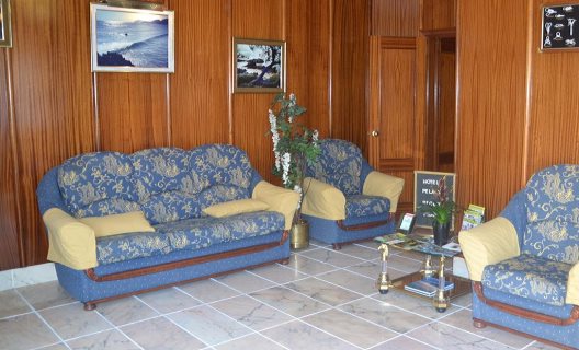Hotel Pelayo Noja