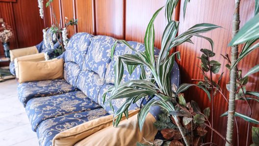 Hotel Pelayo Noja