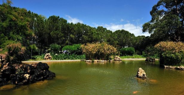 Hotel Pestana Blue Alvor Beach