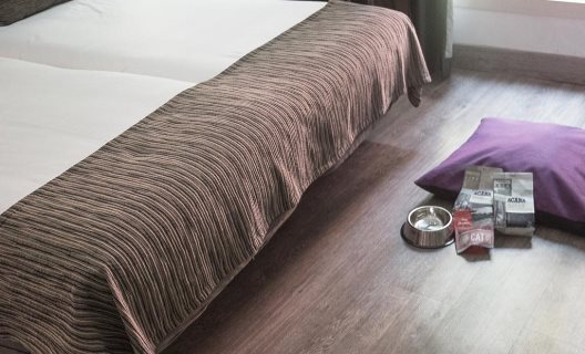 Hotel Petit Palace Plaza España