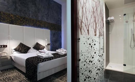Hotel Petit Palace Savoy Alfonso XII