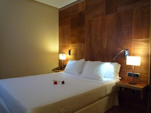 Hotel Picos De Europa