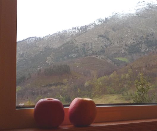 Hotel Picos De Europa