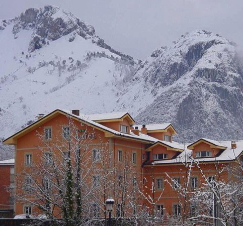 Hotel Picos De Europa