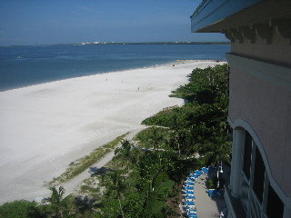 Hotel Pink Shell