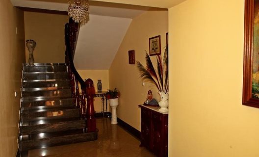 Hotel Pipo