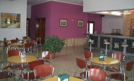 Hotel Pique