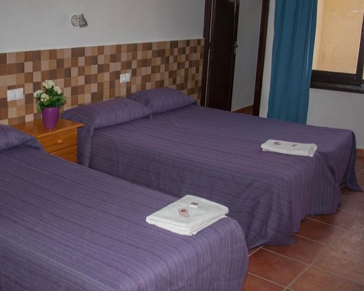 Hotel Planas