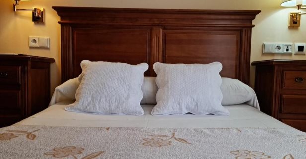 Hotel Plateros