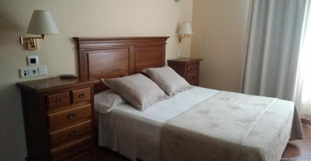 Hotel Plateros