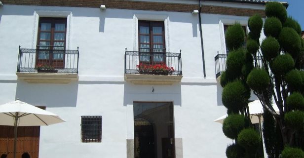 Hotel Plateros