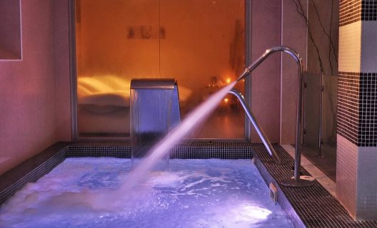 Hotel Plaza Arriate & Spa