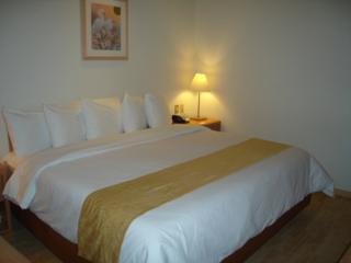 Hotel Plaza Florencia