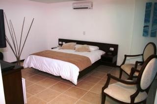 Hotel Plaza Granada