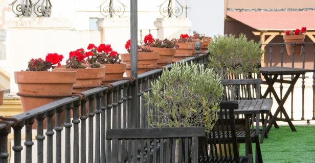 Hotel Plaza Sevilla