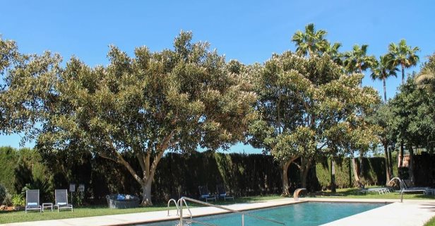 Hotel Posada Des Moli
