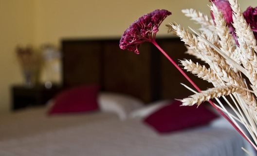 Hotel Posada Real Del Pinar