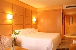 Hotel Puertollano