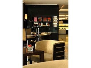 Hotel Pullman Dresden Newa