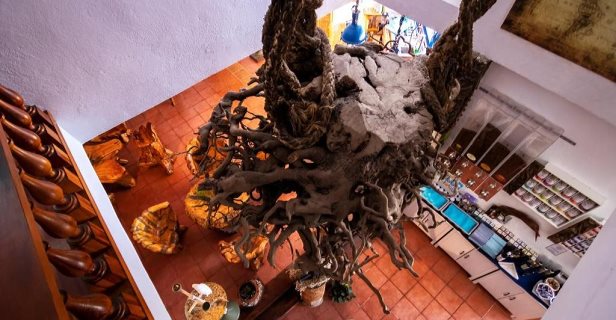 Hotel Punta Grande